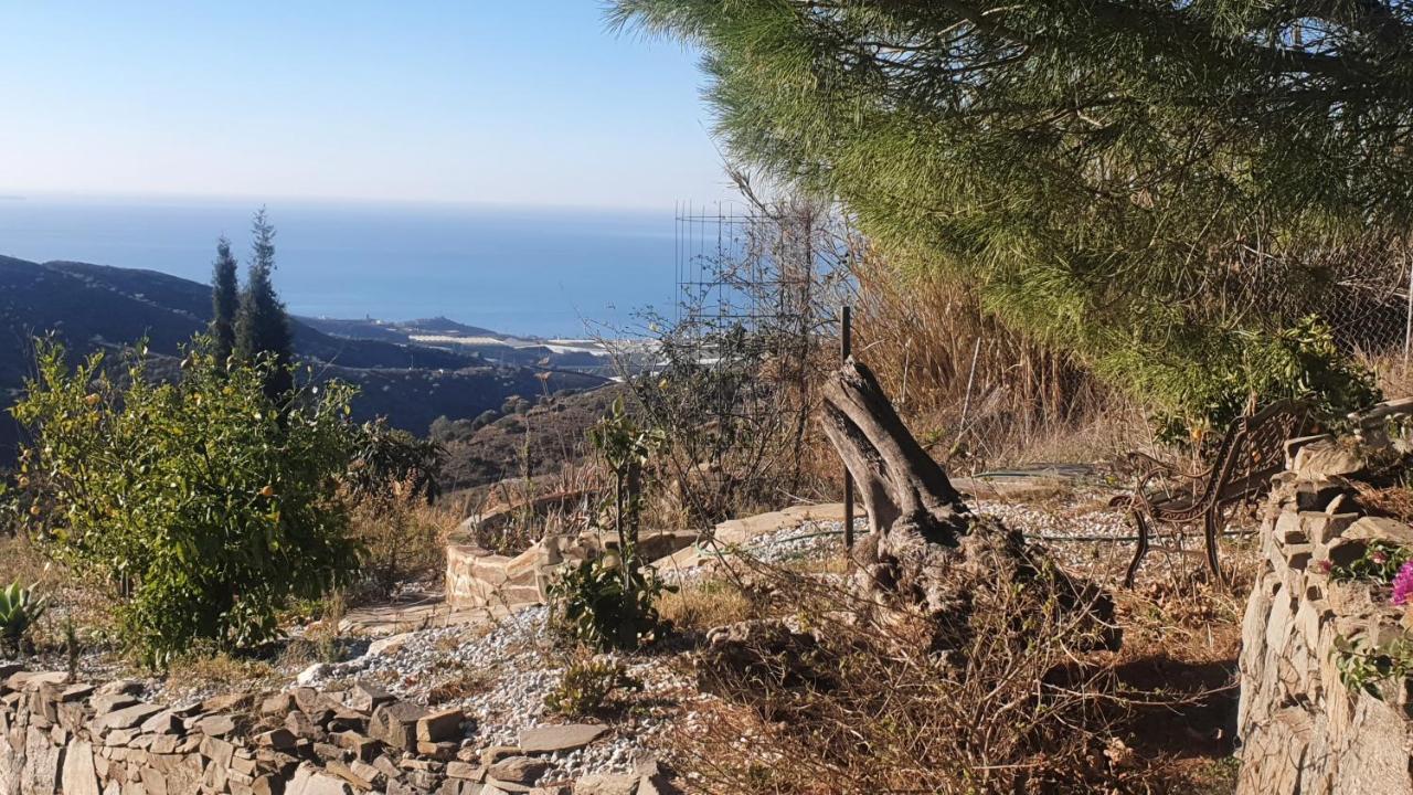 Finca Esperanza Costa Del Sol Sayalonga Ngoại thất bức ảnh